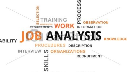 تحليل وتوصيف الأعمال وتخطيط و تنظيم الإجراءات الوظيفية